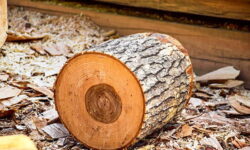 محکومیت 400 میلیون ریالی نجار متخلف در ملایر