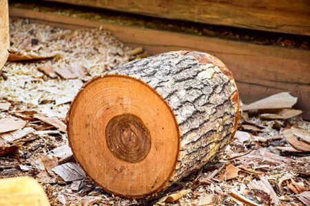 محکومیت 400 میلیون ریالی نجار متخلف در ملایر
