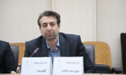 گلی‌پور رئیس هیأت سوارکاری استان همدان شد