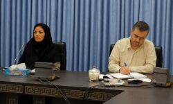 ۱۰ مردادماه آخرین مهلت ارسال آثار برای حضور در نمایشگاه مشاغل خانگی فرهنگ و هنر همدان