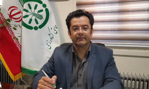 آغاز واریز یارانه‌های نقدی کودهای فسفاته و پتاسه به حساب کشاورزان همدانی