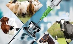 محکومیت چهار میلیارد و 761 میلیون ریالی برای عرضه دارو مکمل دامپزشکی تقلبی در نهاوند
