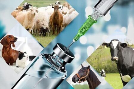 محکومیت چهار میلیارد و 761 میلیون ریالی برای عرضه دارو مکمل دامپزشکی تقلبی در نهاوند
