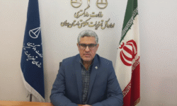 محکومیت 878 میلیون ریالی متصدی یک واحد صنفی برای نگهداری و عرضه کالای قاچاق