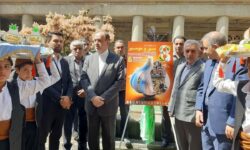 خام‌فروشی سیر همدان باید متوقف شود/ تکمیل«شهرک سیر» تا دو ماه آینده