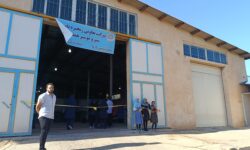 مهم‌ترین مطالبه فعالان سیر، ایجاد یک شهرک صنعتی تخصصی برای پوست‌کنی و فرآوری سیر است
