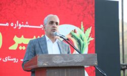 تولید سالانه ۲۰ هزار تن سیر در سولان؛ تعاونی جدید مسیر فرآوری تا صادرات را هموار می‌کند