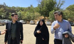 تثبیت مالکیت و اخذ سند تک‌برگ؛ اولویت اصلی در صیانت از اموال غیرمنقول دولت در همدان