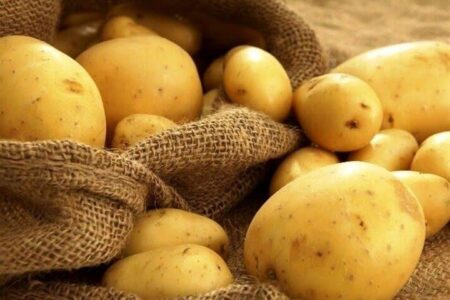 توزیع سیب‌زمینی ۶۵ هزار تومانی در ۵ نقطه همدان